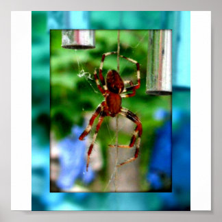 spiders poster