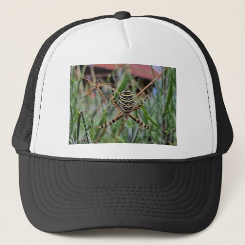 spiders trucker hat