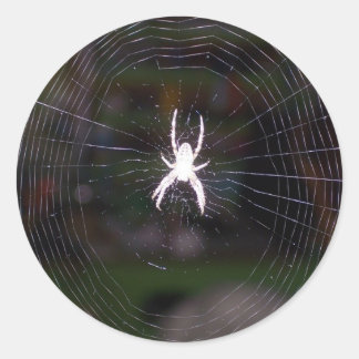 Spiders Web Classic Round Sticker
