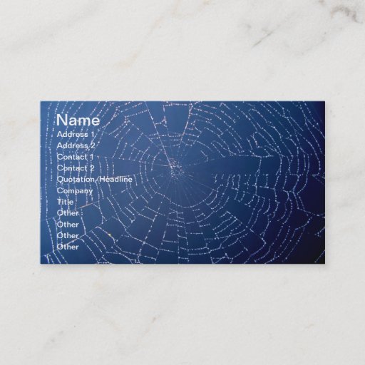 Customizable Spiderweb Business Cards