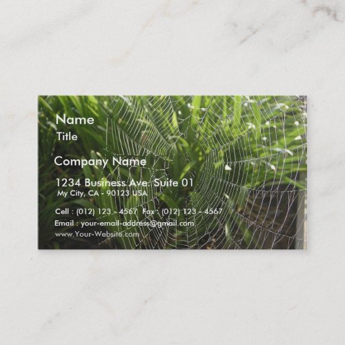 Spiderweb Covered With Dew In The Morning Business Card