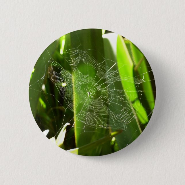 Spiderweb in Tropical Leaves Nature Button (Front)
