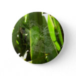 Spiderweb in Tropical Leaves Nature Button
