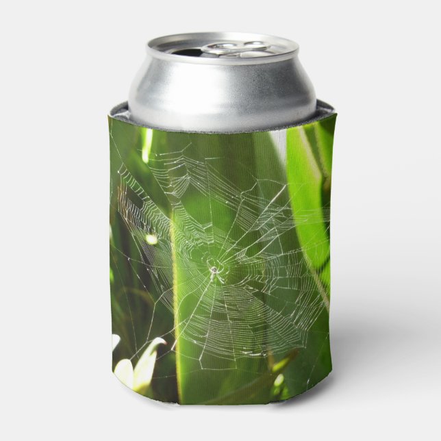 Spiderweb in Tropical Leaves Nature Can Cooler (Can Front)