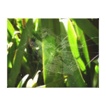 Spiderweb in Tropical Leaves Nature Canvas Print