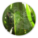 Spiderweb in Tropical Leaves Nature Ceramic Knob
