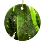 Spiderweb in Tropical Leaves Nature Ceramic Ornament