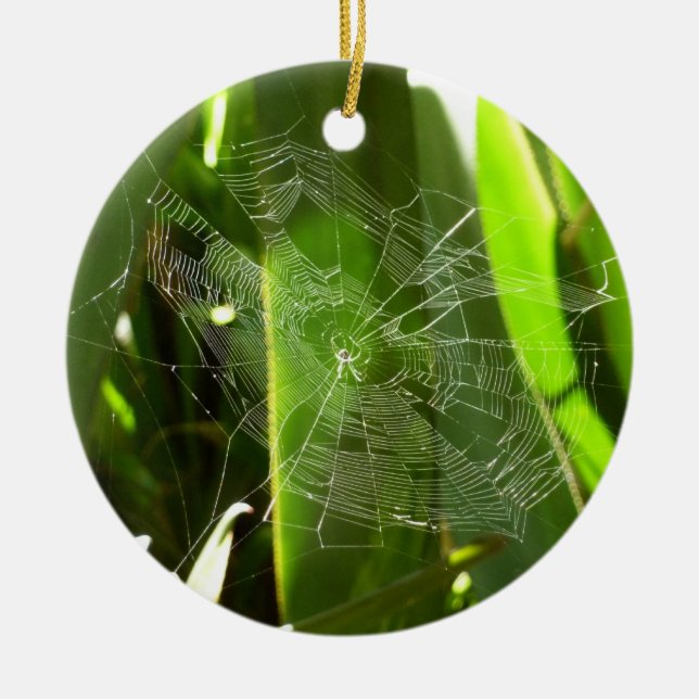 Spiderweb in Tropical Leaves Nature Ceramic Ornament (Front)