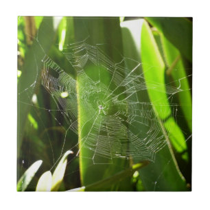 Spiderweb in Tropical Leaves Nature Ceramic Tile