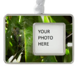 Spiderweb in Tropical Leaves Nature Christmas Ornament
