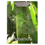 Spiderweb in Tropical Leaves Nature Clipboard