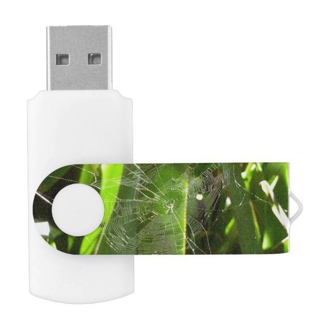 Spiderweb in Tropical Leaves Nature Flash Drive (Opened)