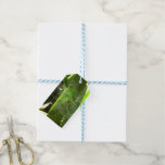 Spiderweb in Tropical Leaves Nature Gift Tags