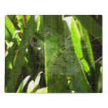 Spiderweb in Tropical Leaves Nature Jigsaw Puzzle
