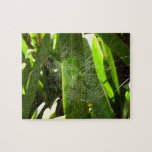 Spiderweb in Tropical Leaves Nature Jigsaw Puzzle