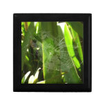Spiderweb in Tropical Leaves Nature Keepsake Box