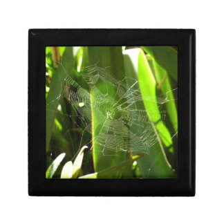 Spiderweb in Tropical Leaves Nature Keepsake Box