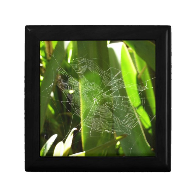Spiderweb in Tropical Leaves Nature Keepsake Box (Front)