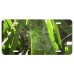 Spiderweb in Tropical Leaves Nature License Plate