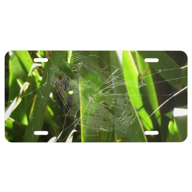 Spiderweb in Tropical Leaves Nature License Plate (Front)