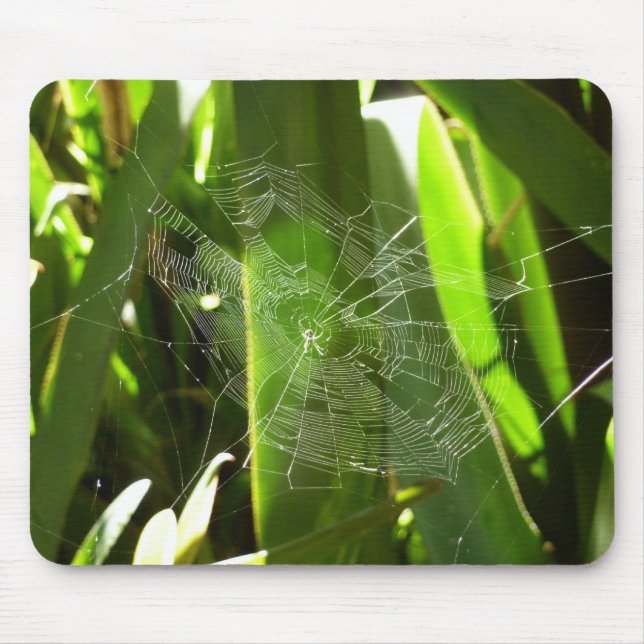 Spiderweb in Tropical Leaves Nature Mouse Pad (Front)