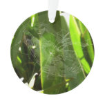 Spiderweb in Tropical Leaves Nature Ornament