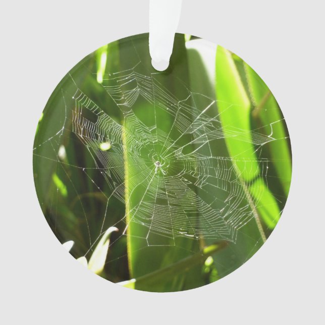 Spiderweb in Tropical Leaves Nature Ornament (Front)