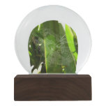 Spiderweb in Tropical Leaves Nature Snow Globe