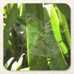 Spiderweb in Tropical Leaves Nature Square Paper Coaster