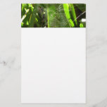 Spiderweb in Tropical Leaves Nature Stationery