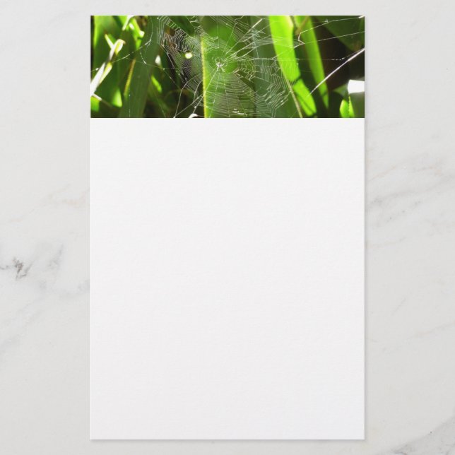 Spiderweb in Tropical Leaves Nature Stationery (Front)