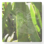 Spiderweb in Tropical Leaves Nature Stone Coaster