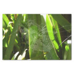 Spiderweb in Tropical Leaves Nature Tissue Paper