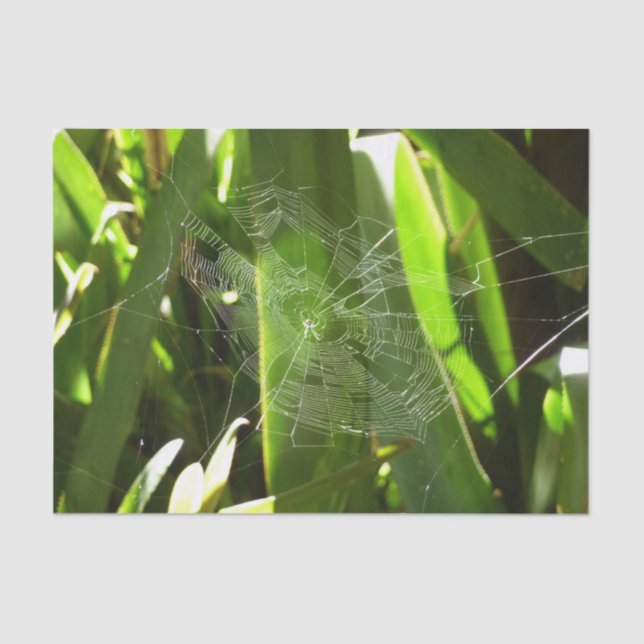 Spiderweb in Tropical Leaves Nature Tissue Paper (Front)