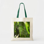 Spiderweb in Tropical Leaves Nature Tote Bag