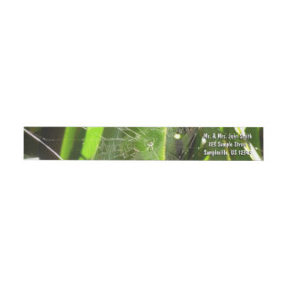 Spiderweb in Tropical Leaves Nature Wrap Around Label