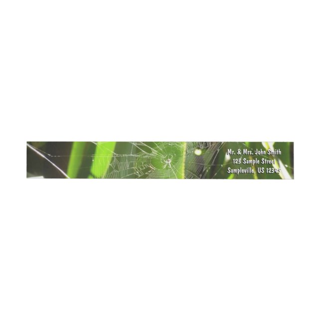 Spiderweb in Tropical Leaves Nature Wrap Around Label (Individual)