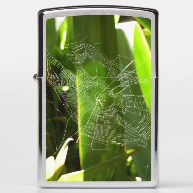 Spiderweb in Tropical Leaves Nature Zippo Lighter (Front)