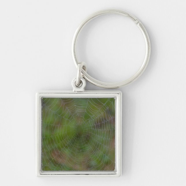 Spiderweb With Droplets Keychain (Front)