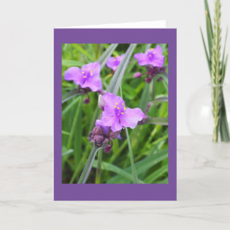 Spiderwort Blank Note Card