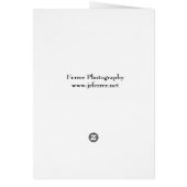 Spiderwort Blossom Closeup (Back)