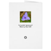 Spiderwort Cards (Back)
