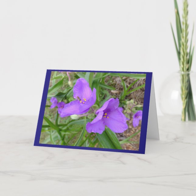Spiderwort Flowers Blank Note Card (Front)