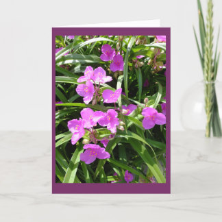 Spiderwort Flowers II Blank Note Card