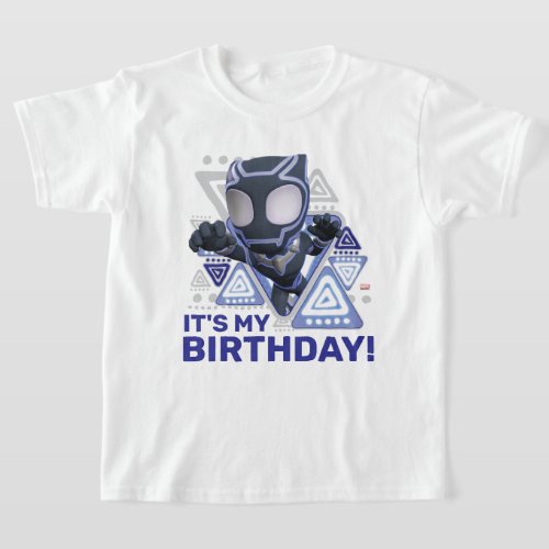 Spidey  Black Panther _ Its My Birthday T_Shirt