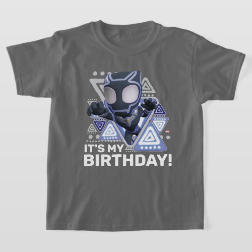 Spidey  Black Panther _ Its My Birthday T_Shirt