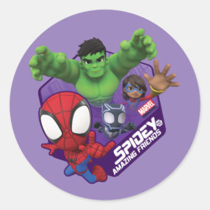 Spidey, Hulk, Ms. Marvel, & Black Panther Hexagon Classic Round Sticker