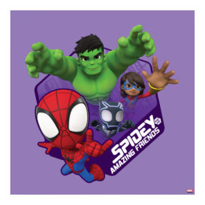Spidey, Hulk, Ms. Marvel, & Black Panther Hexagon Poster