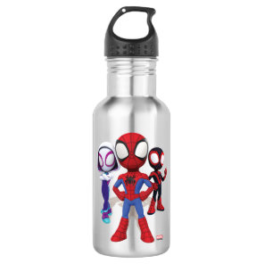 Spidey Team In Town Stainless Steel Water Bottle