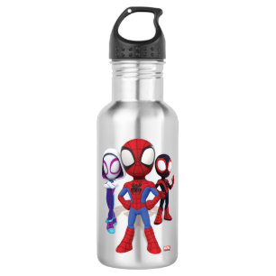 Spidey Team In Town Stainless Steel Water Bottle